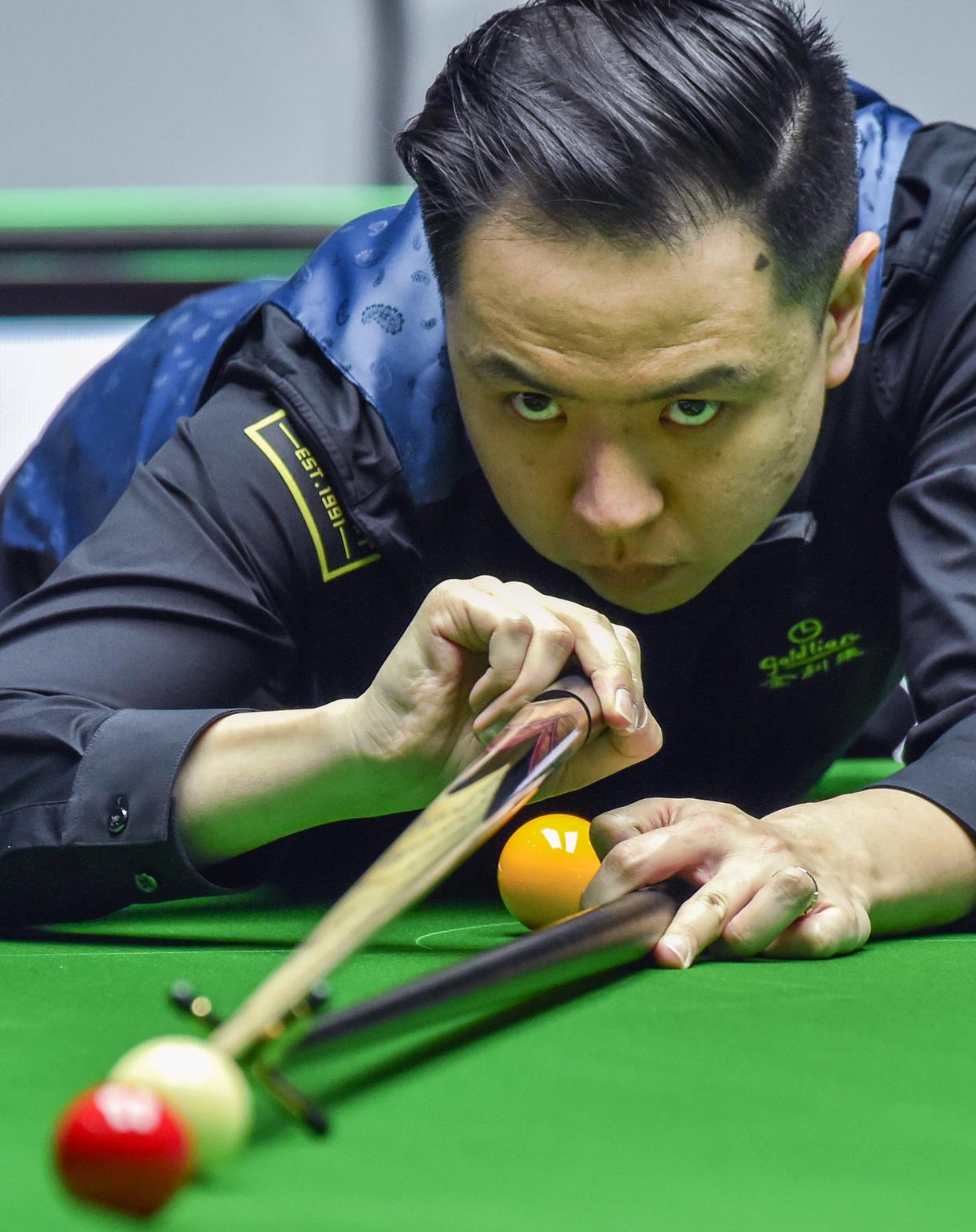 但他们的拼 但他们的拼