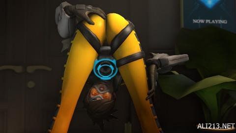 整体实力 整体实力