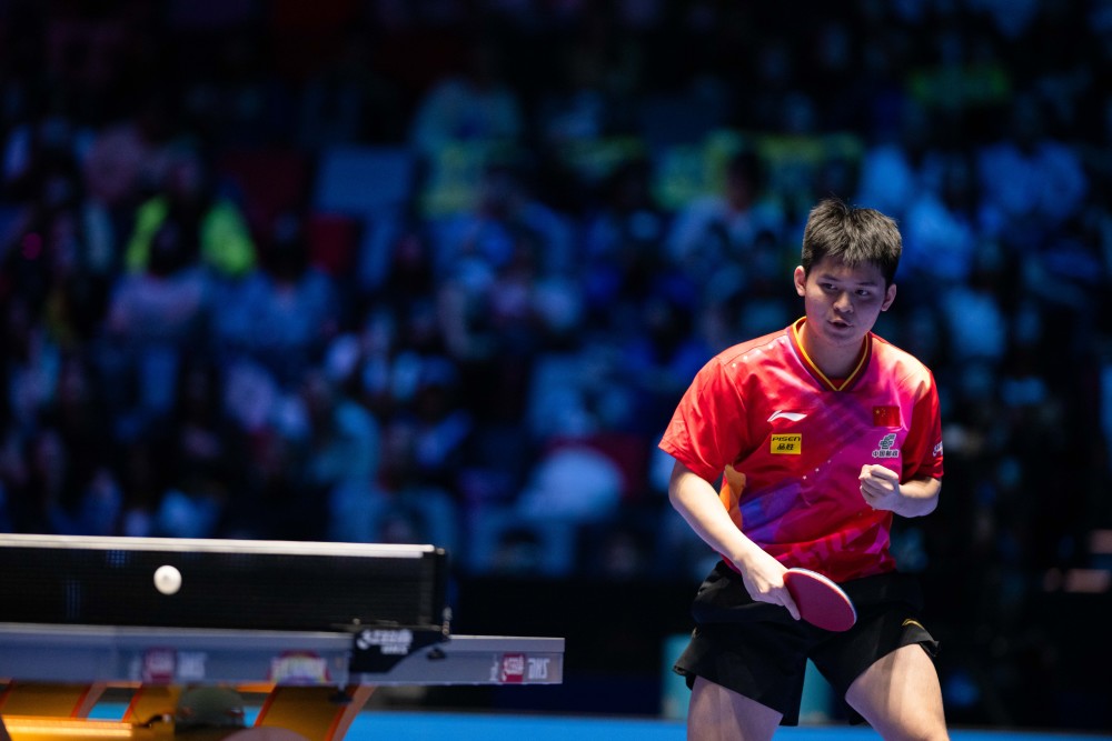 历不无关系 历不无关系