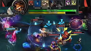 组织